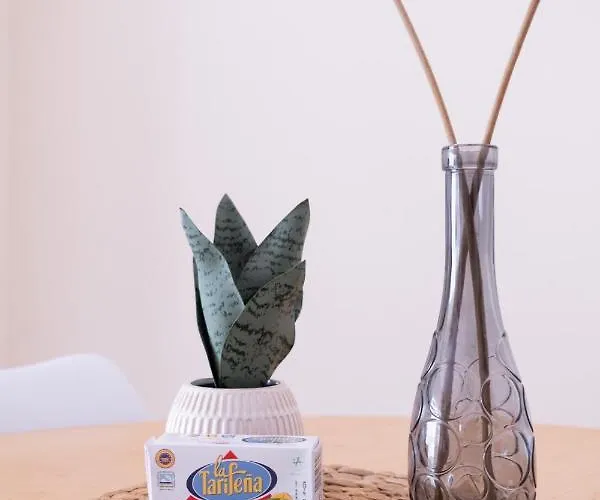 Kimba